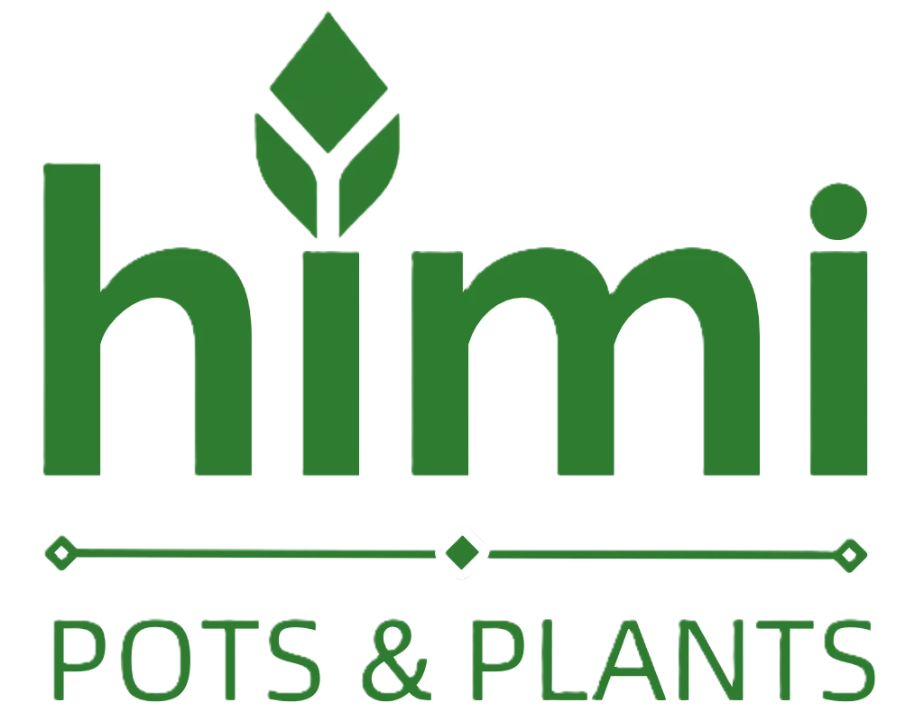 Himi – Pots & Plants